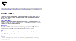 Desktop Screenshot of catcher.com